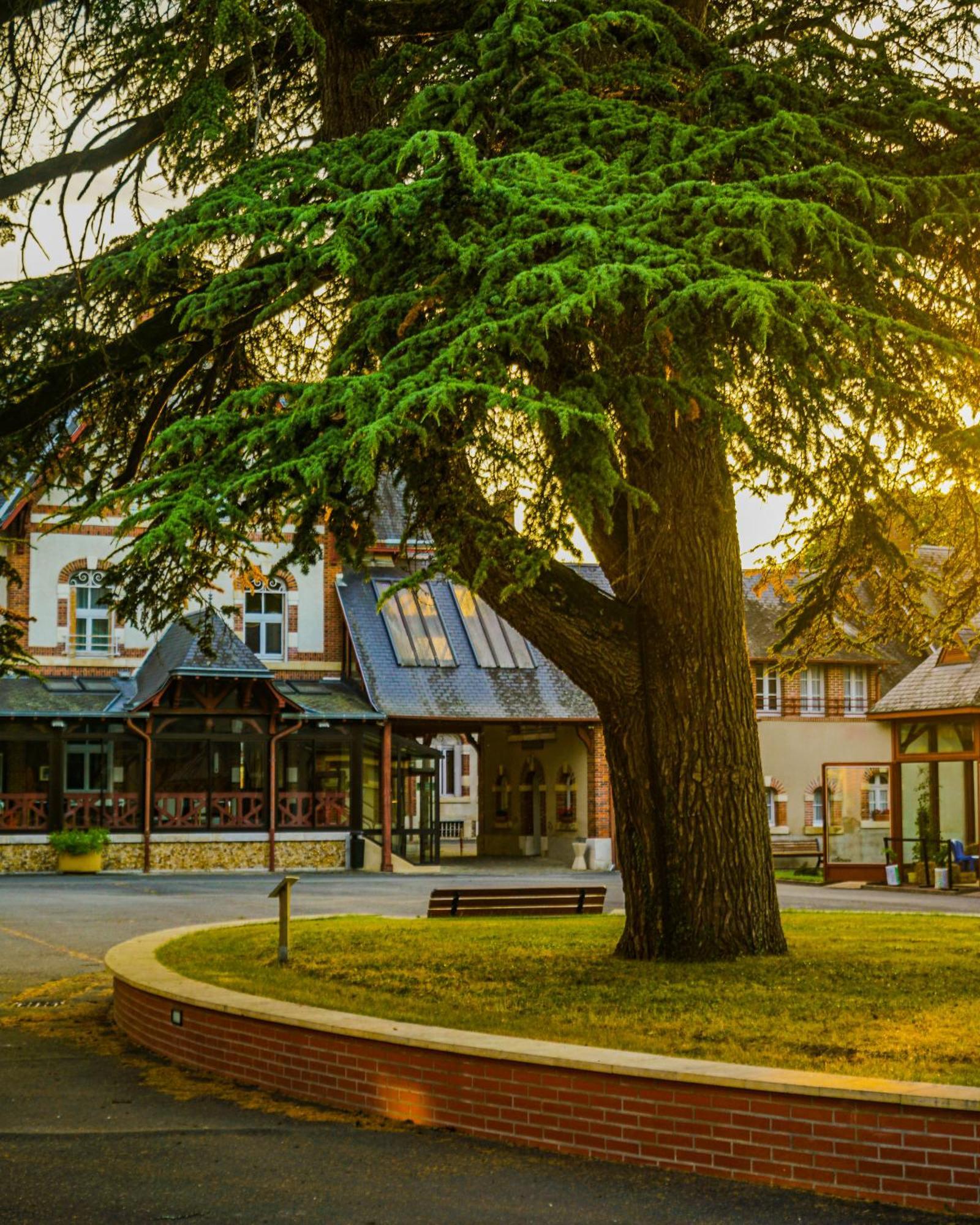Hotel-Restaurant Domaine De La Grande Garenne Neuvy-sur-Barangeon ภายนอก รูปภาพ